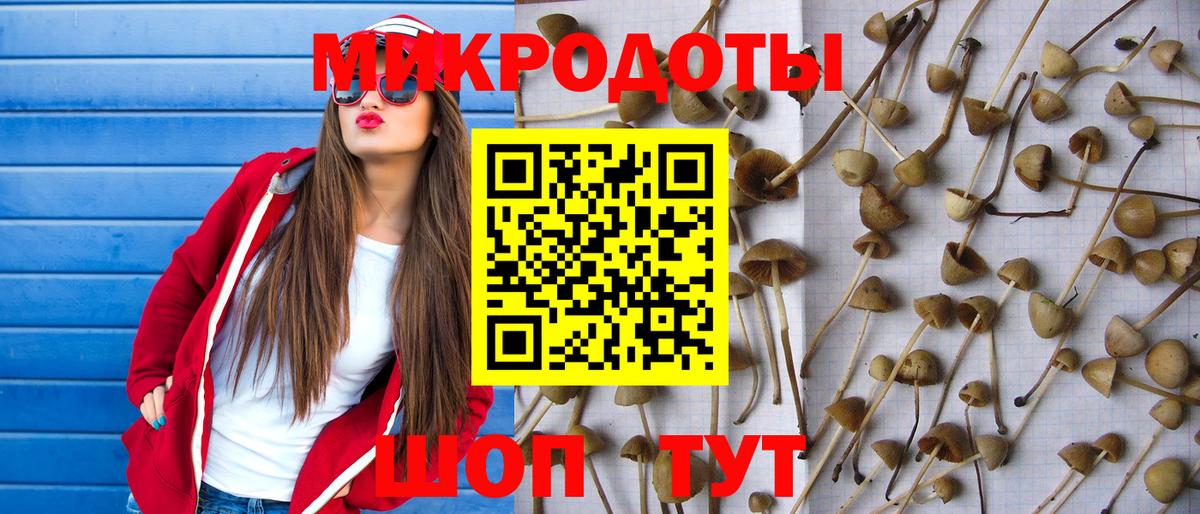 Псилоцибиновые грибы Magic Shrooms Комсомольск-на-Амуре
